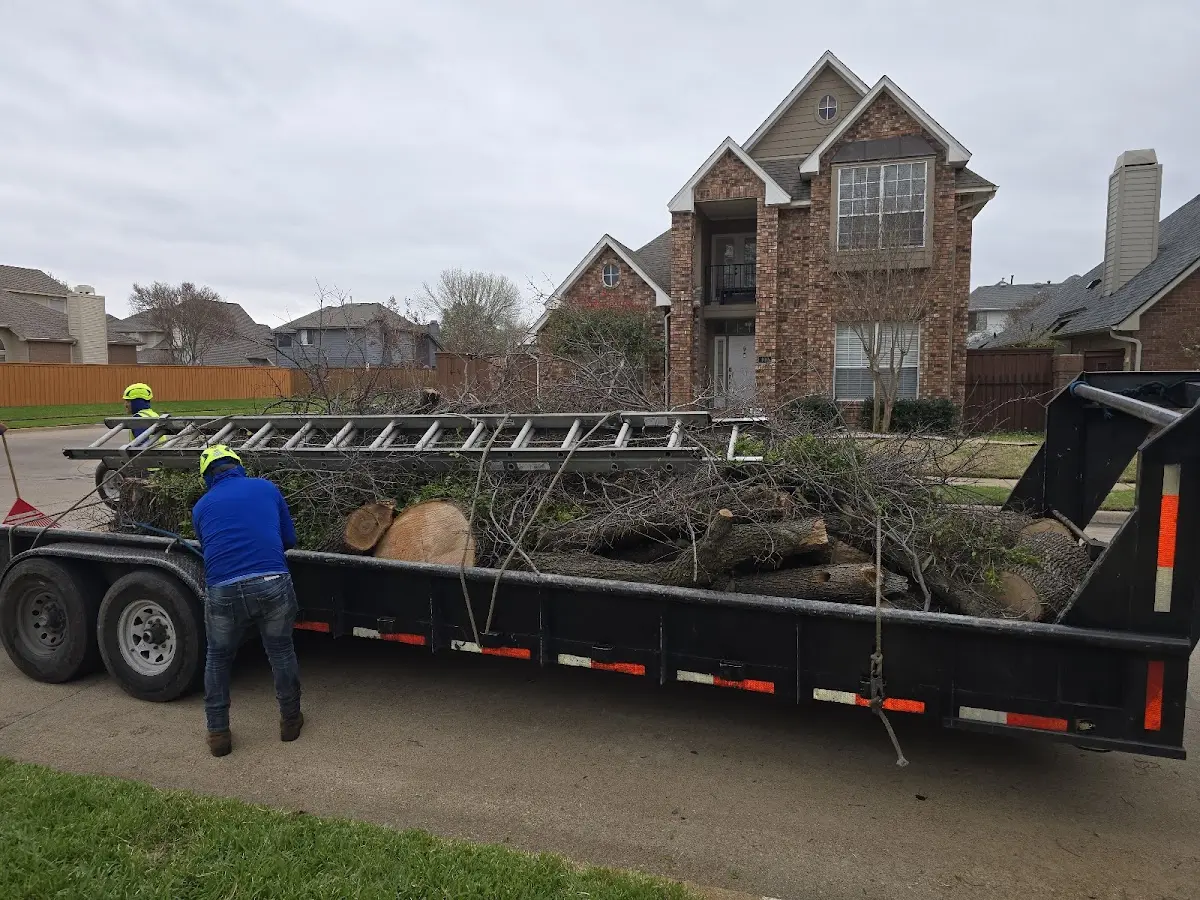 Expert Tree Fertilization with proper safety equipment in Newburyport